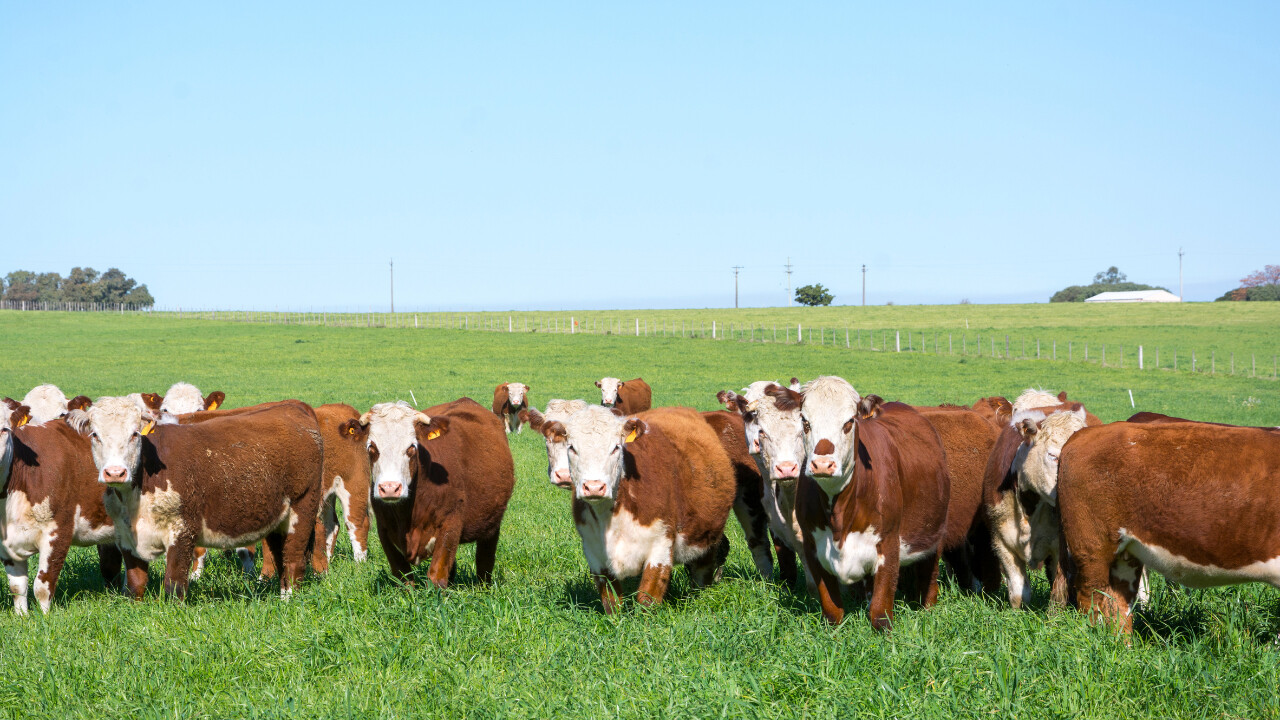 Información que se traduce en ventas